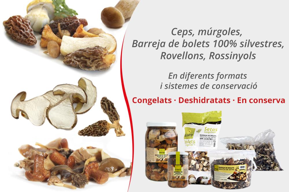 Planifica tus menús de Navidad con Setas de una calidad excelente